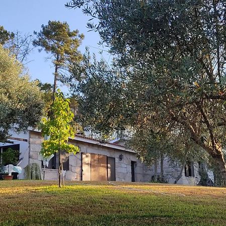 Pensjonat Quinta Da Pedra Mija Santar Zewnętrze zdjęcie