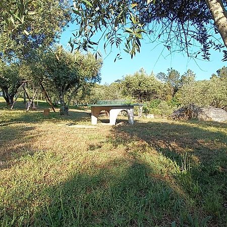 Pensjonat Quinta Da Pedra Mija Santar Zewnętrze zdjęcie