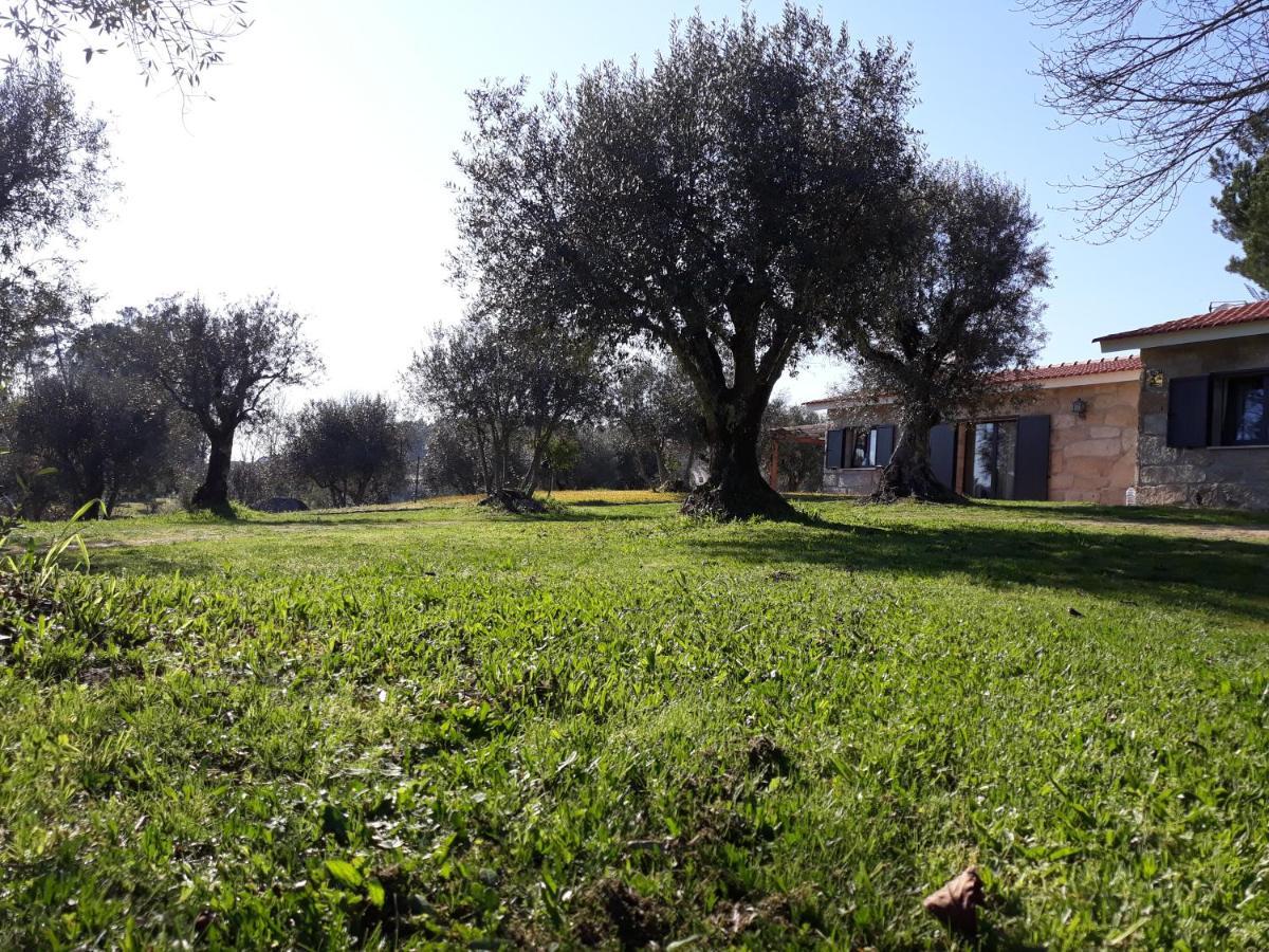 Pensjonat Quinta Da Pedra Mija Santar Zewnętrze zdjęcie