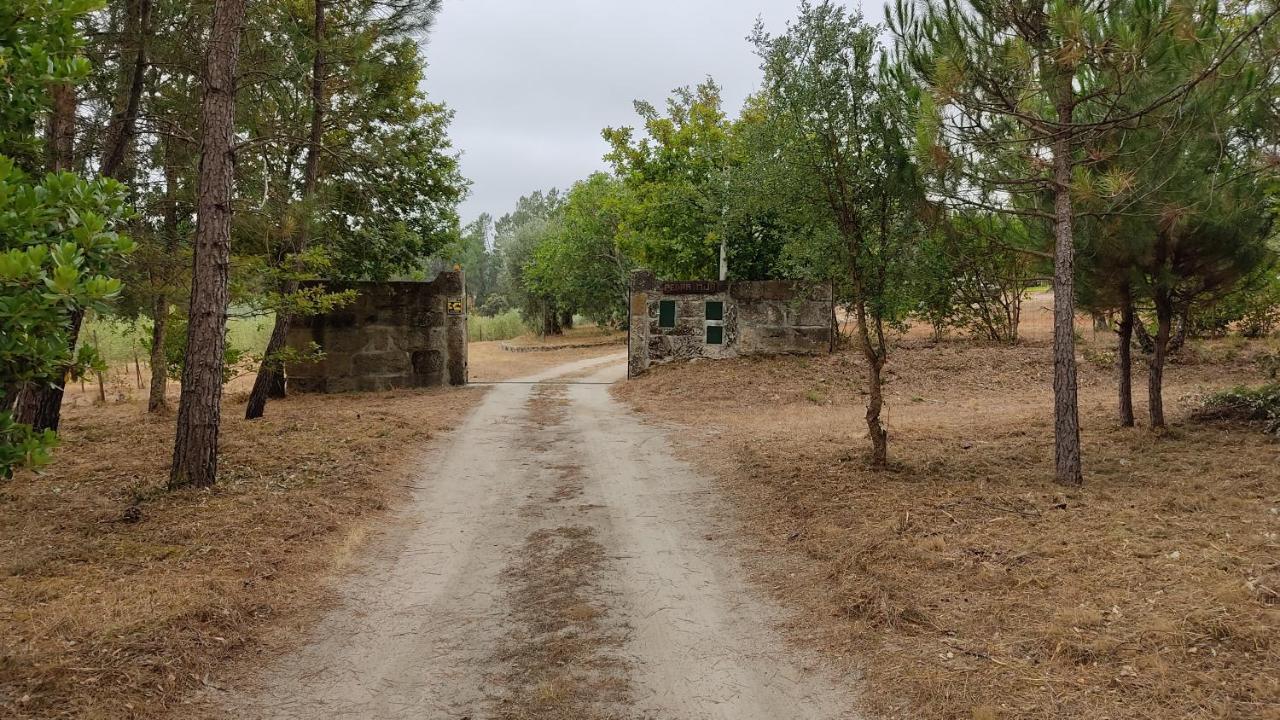 Pensjonat Quinta Da Pedra Mija Santar Zewnętrze zdjęcie