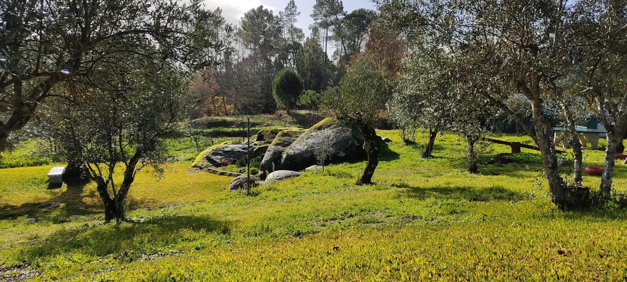 Pensjonat Quinta Da Pedra Mija Santar Zewnętrze zdjęcie