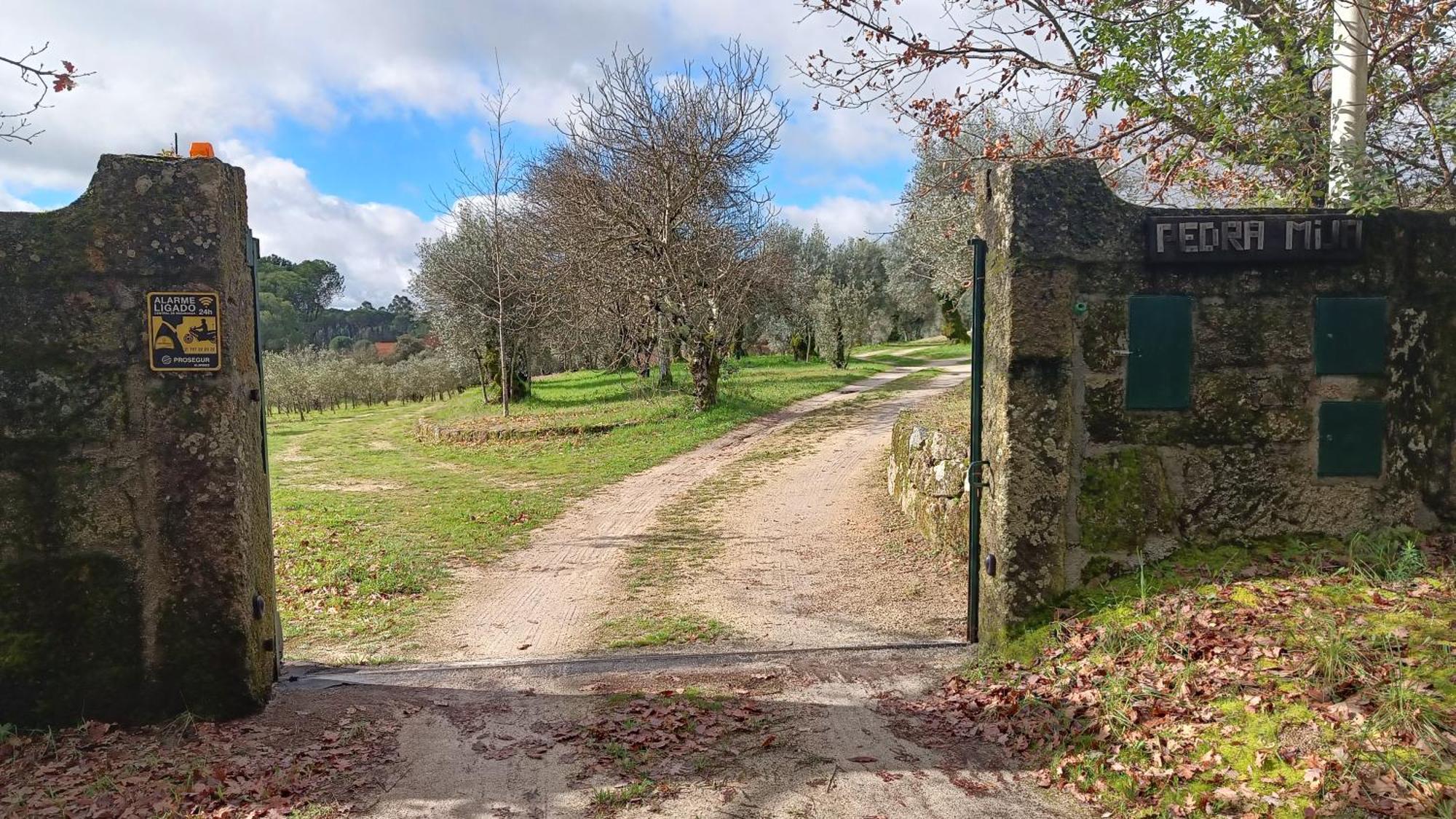 Pensjonat Quinta Da Pedra Mija Santar Zewnętrze zdjęcie