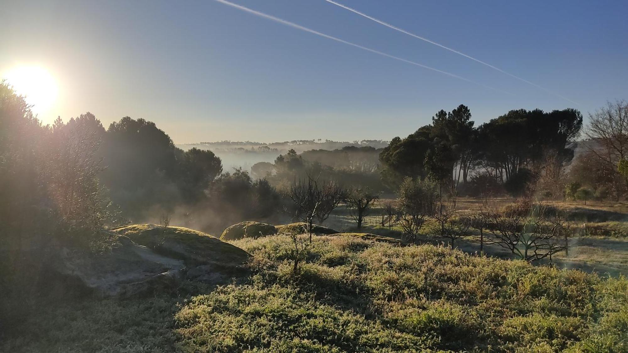 Pensjonat Quinta Da Pedra Mija Santar Zewnętrze zdjęcie