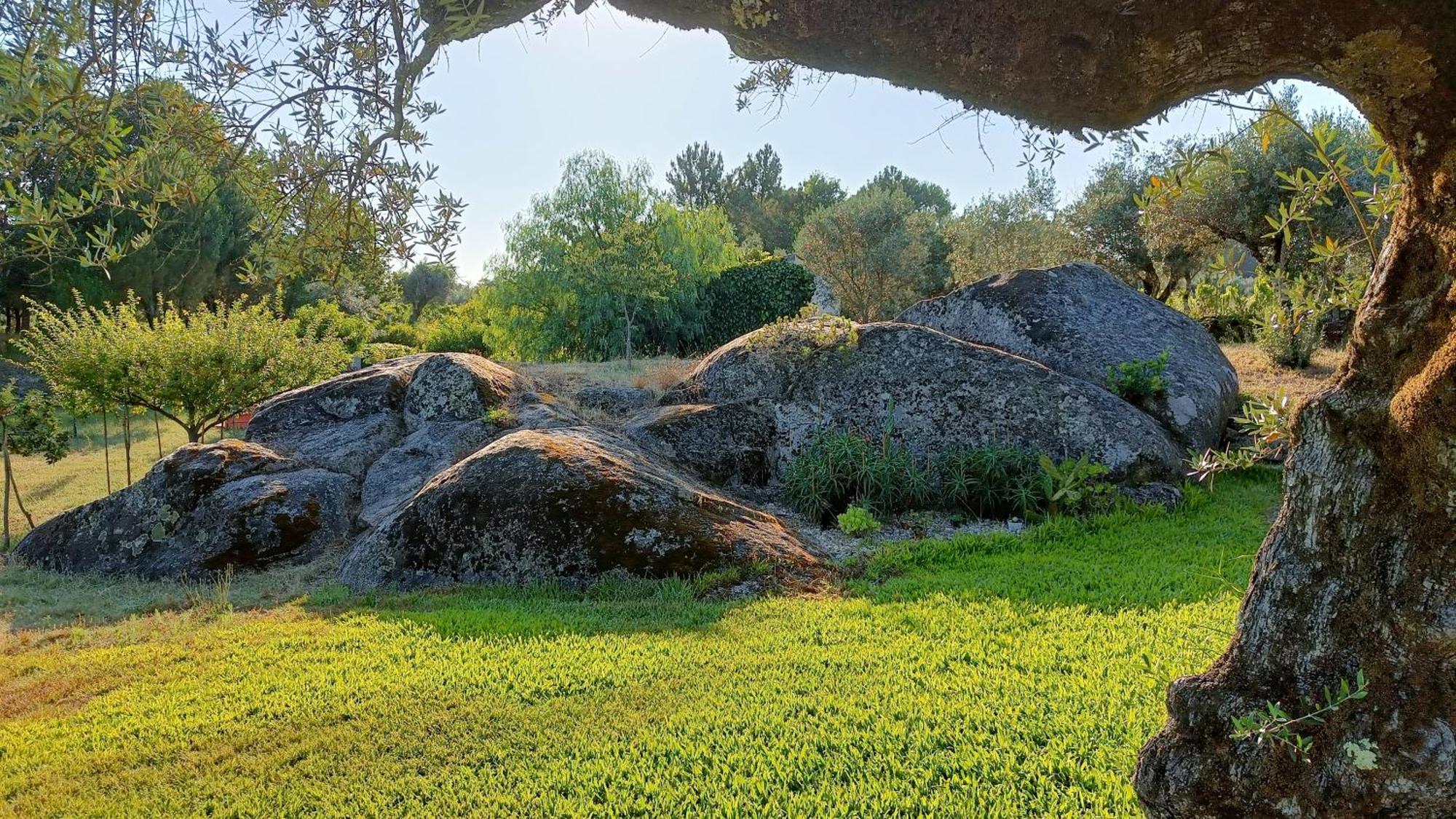 Pensjonat Quinta Da Pedra Mija Santar Zewnętrze zdjęcie