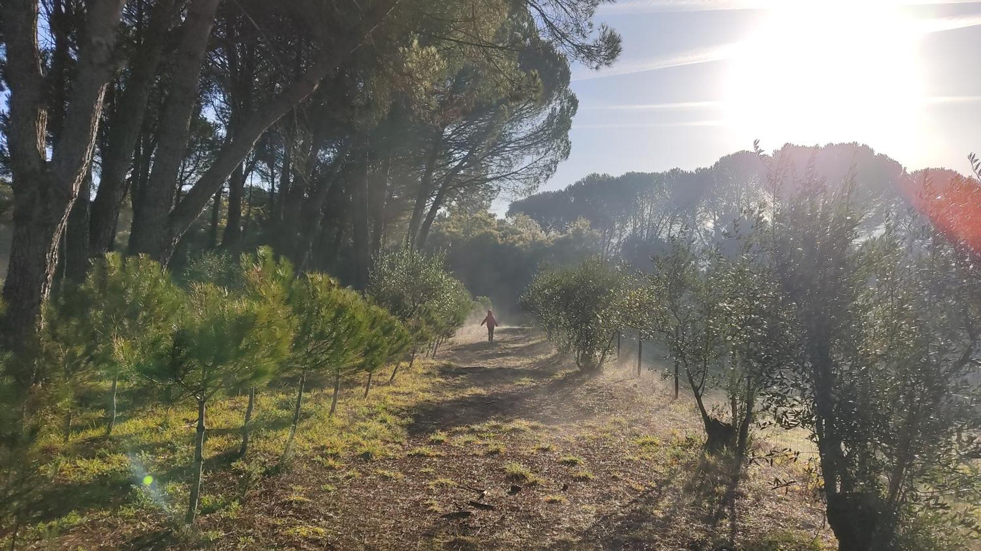 Pensjonat Quinta Da Pedra Mija Santar Zewnętrze zdjęcie