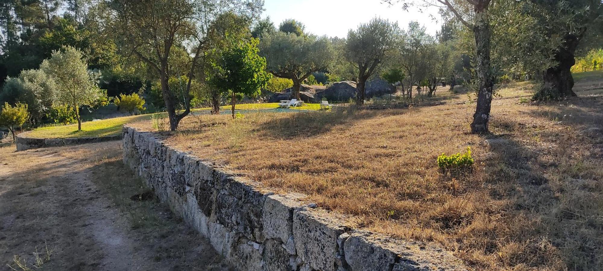 Pensjonat Quinta Da Pedra Mija Santar Zewnętrze zdjęcie