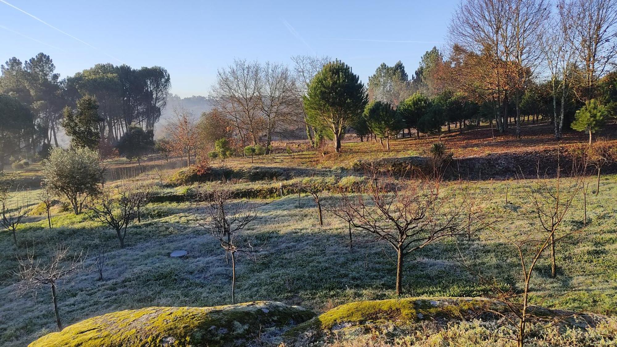 Pensjonat Quinta Da Pedra Mija Santar Zewnętrze zdjęcie