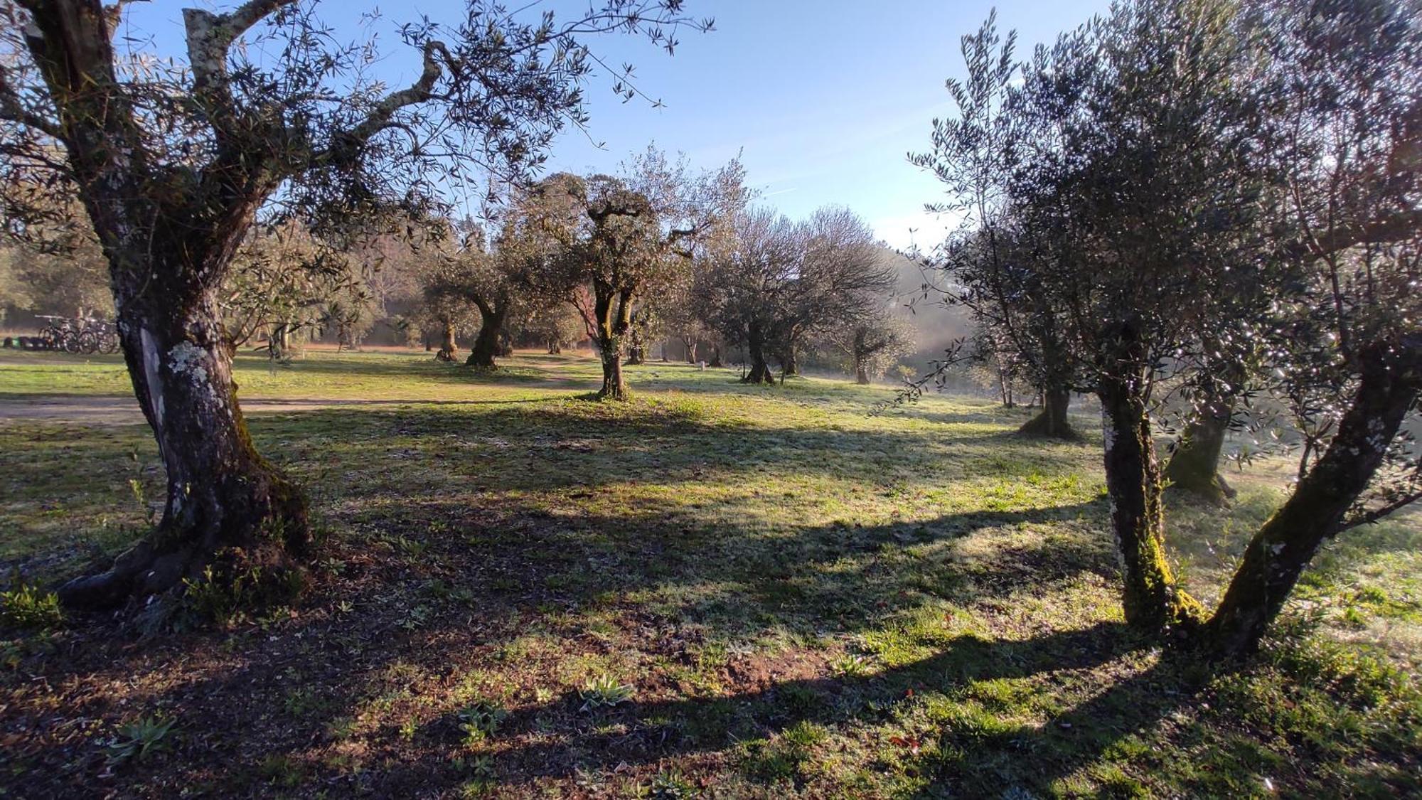 Pensjonat Quinta Da Pedra Mija Santar Zewnętrze zdjęcie