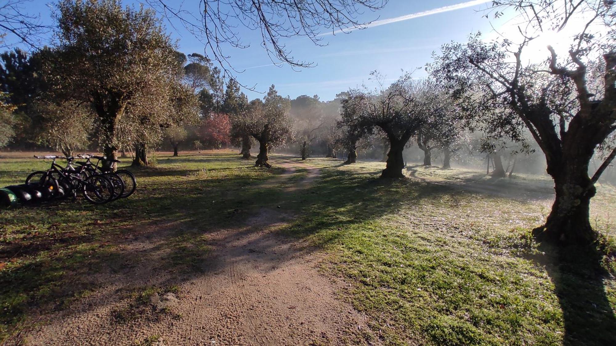Pensjonat Quinta Da Pedra Mija Santar Zewnętrze zdjęcie