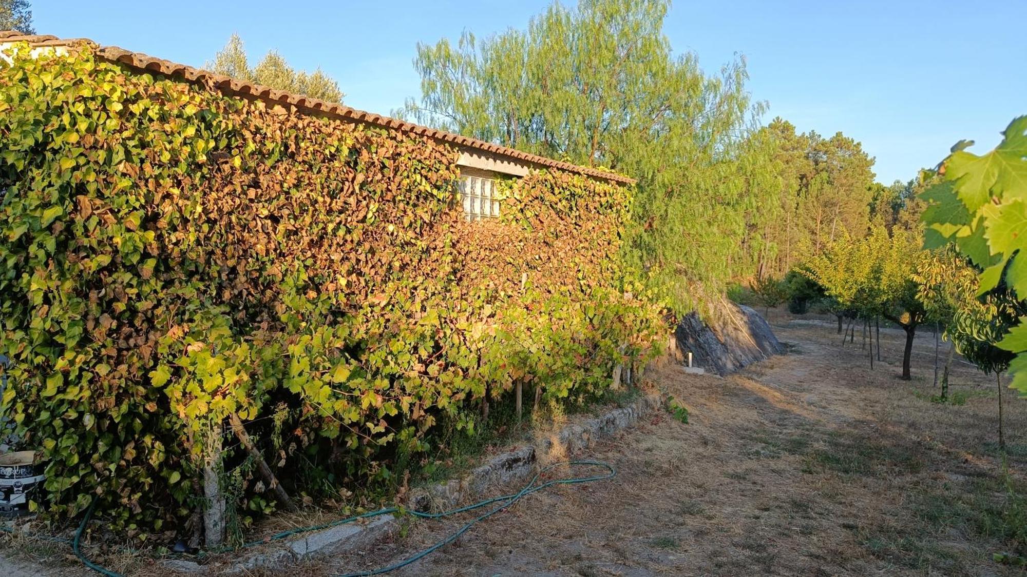 Pensjonat Quinta Da Pedra Mija Santar Zewnętrze zdjęcie