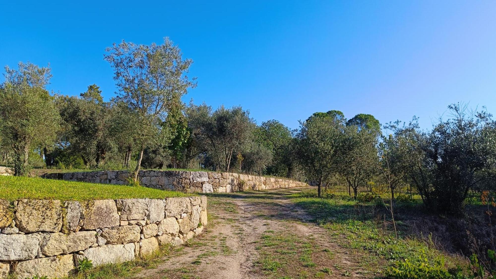 Pensjonat Quinta Da Pedra Mija Santar Zewnętrze zdjęcie