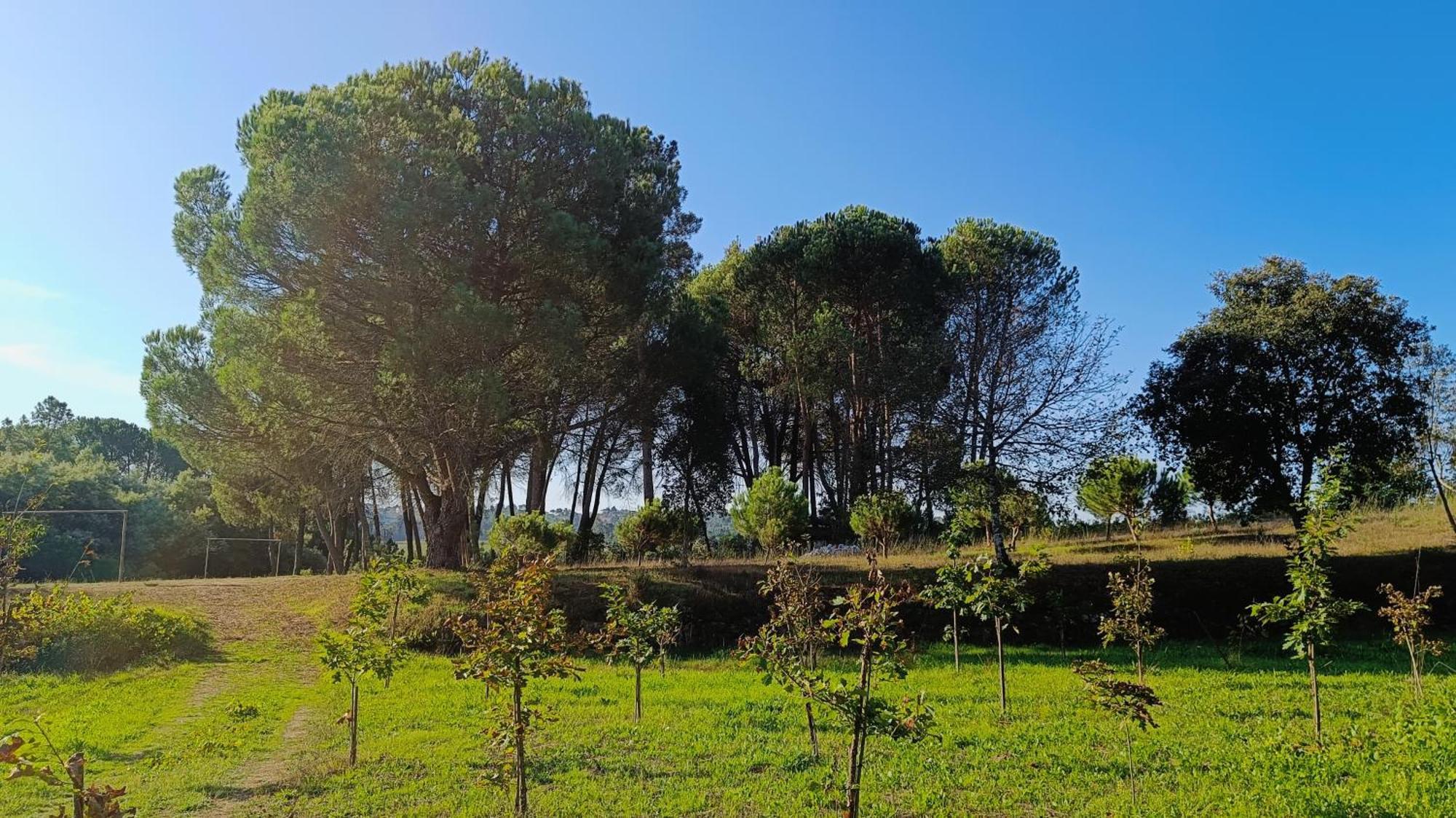 Pensjonat Quinta Da Pedra Mija Santar Zewnętrze zdjęcie