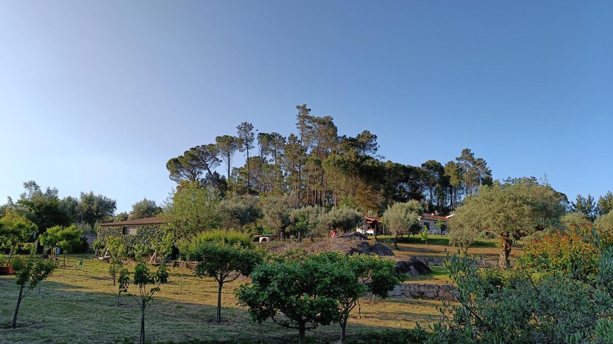 Pensjonat Quinta Da Pedra Mija Santar Zewnętrze zdjęcie