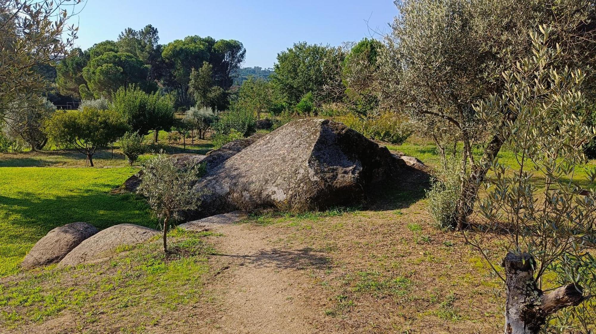 Pensjonat Quinta Da Pedra Mija Santar Zewnętrze zdjęcie