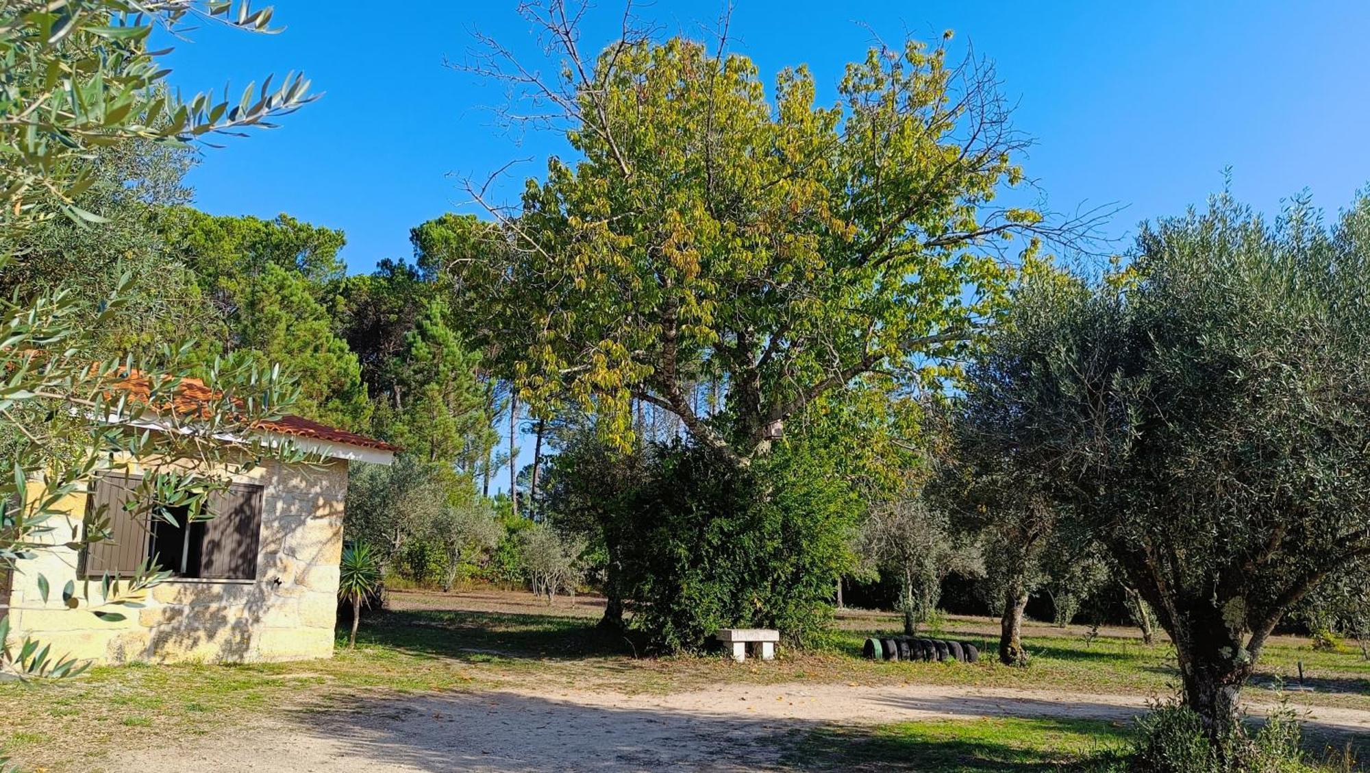Pensjonat Quinta Da Pedra Mija Santar Zewnętrze zdjęcie