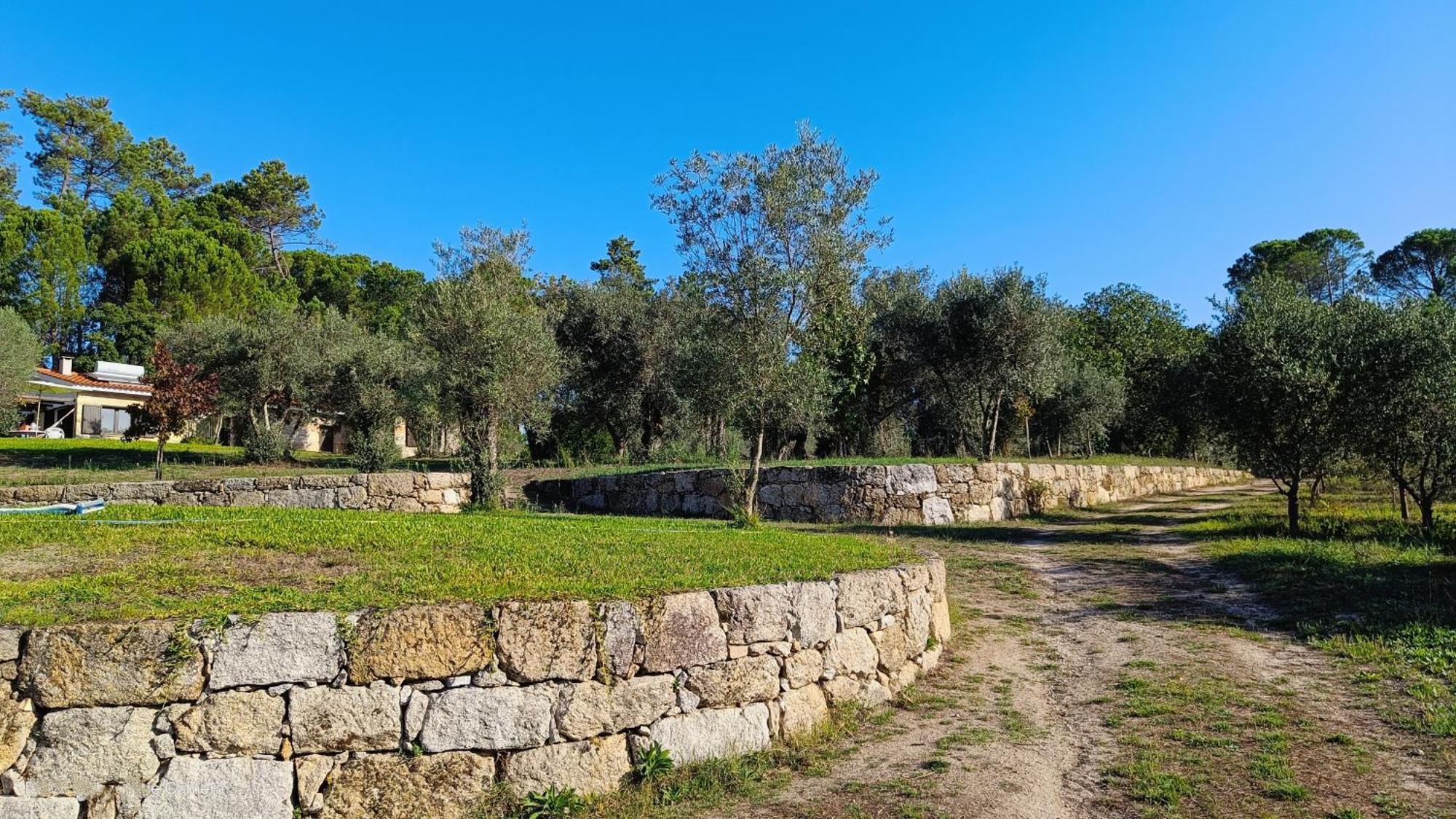 Pensjonat Quinta Da Pedra Mija Santar Zewnętrze zdjęcie