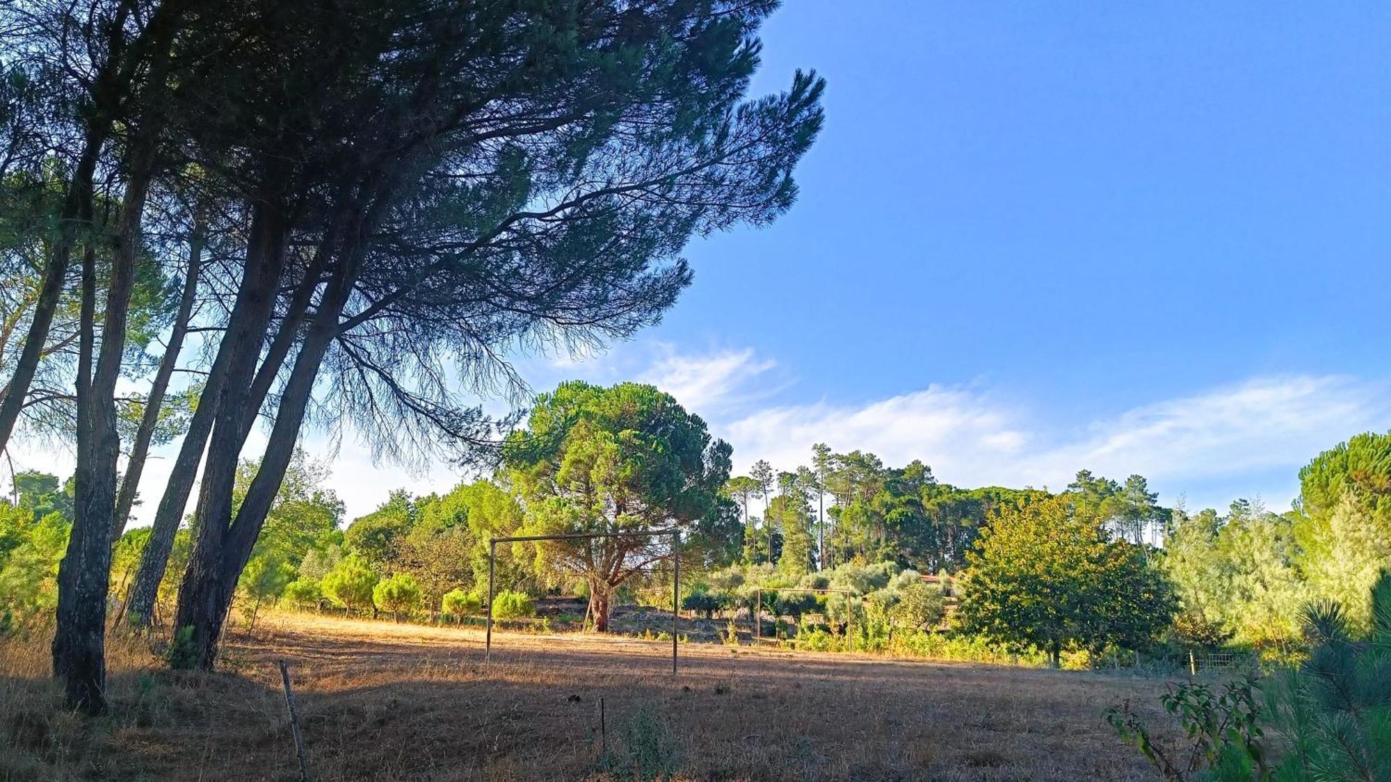 Pensjonat Quinta Da Pedra Mija Santar Zewnętrze zdjęcie