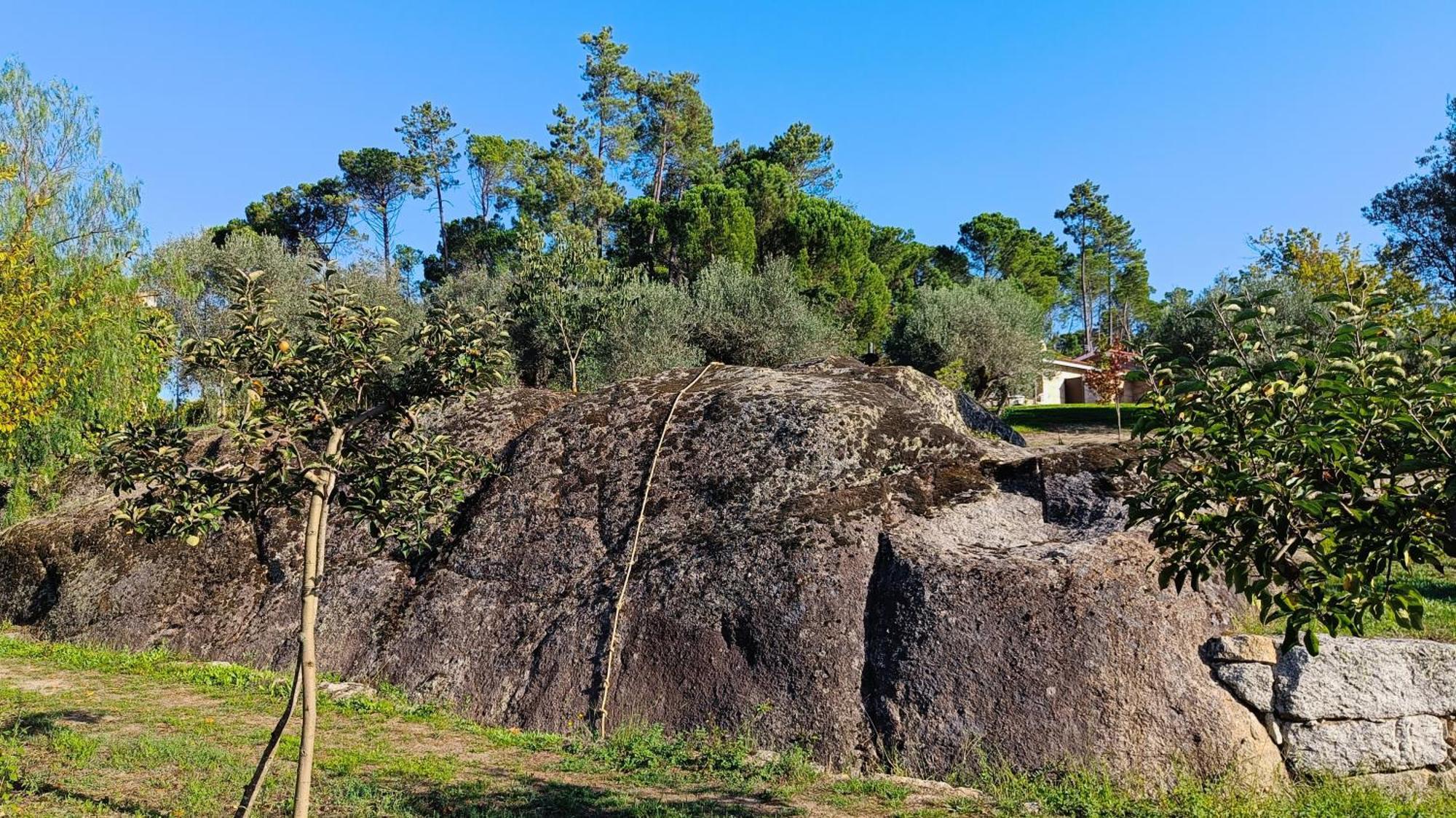Pensjonat Quinta Da Pedra Mija Santar Zewnętrze zdjęcie