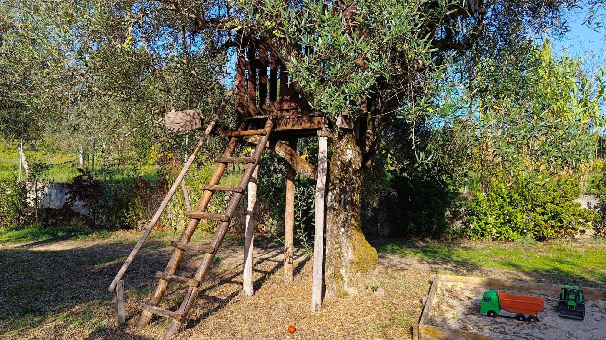 Pensjonat Quinta Da Pedra Mija Santar Zewnętrze zdjęcie
