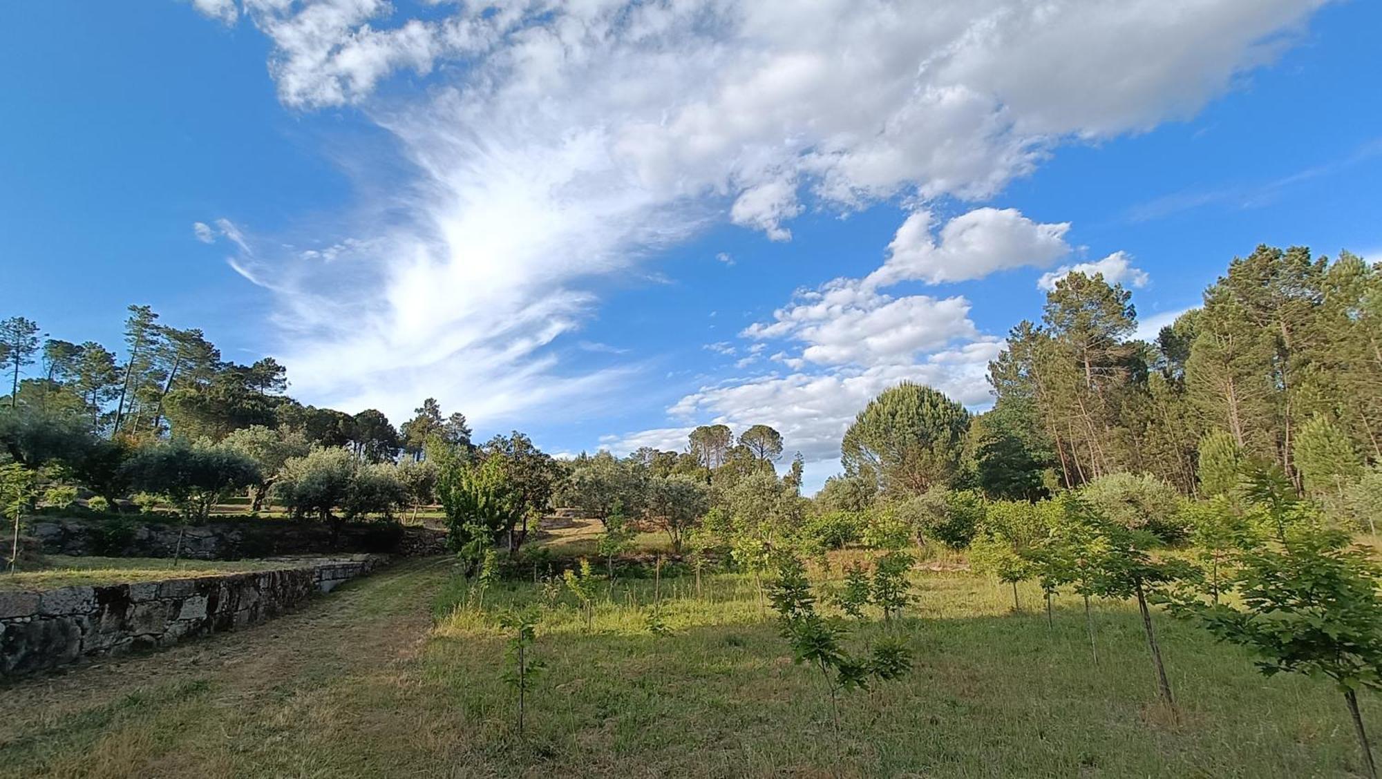 Pensjonat Quinta Da Pedra Mija Santar Zewnętrze zdjęcie
