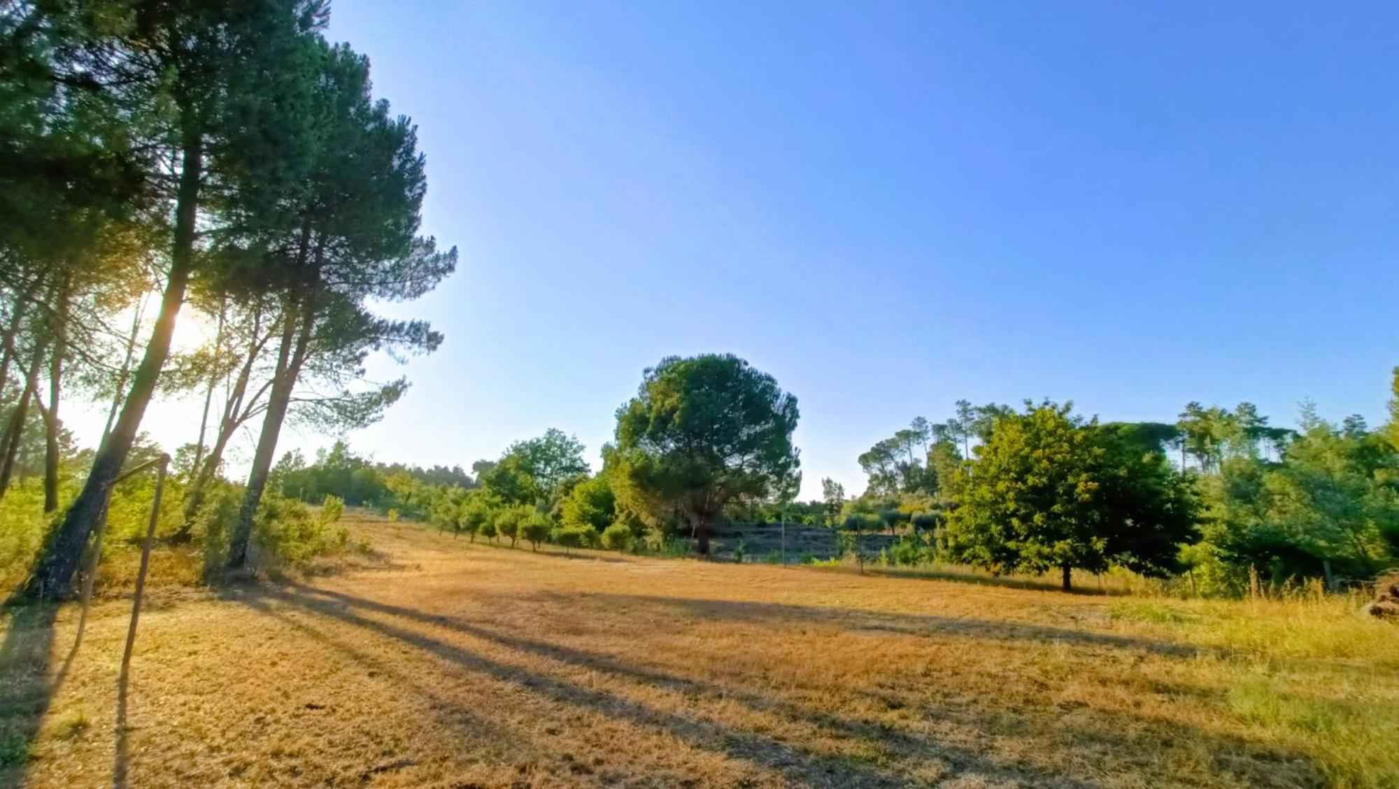 Pensjonat Quinta Da Pedra Mija Santar Zewnętrze zdjęcie