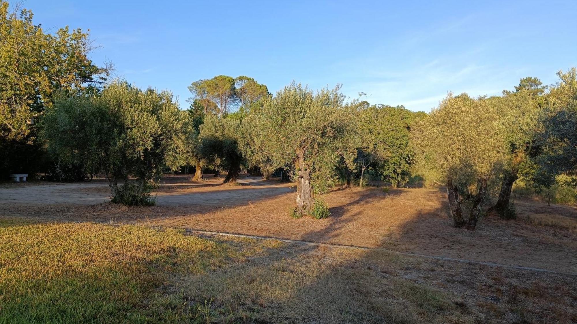 Pensjonat Quinta Da Pedra Mija Santar Zewnętrze zdjęcie