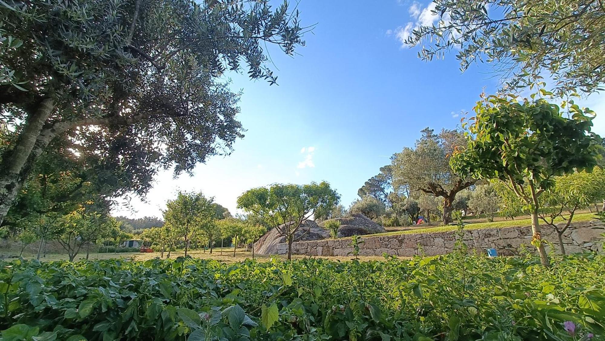 Pensjonat Quinta Da Pedra Mija Santar Zewnętrze zdjęcie