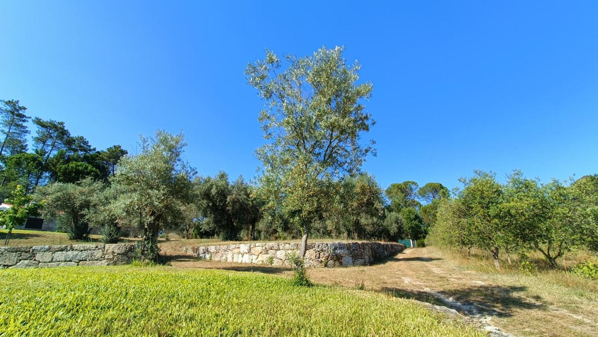 Pensjonat Quinta Da Pedra Mija Santar Zewnętrze zdjęcie