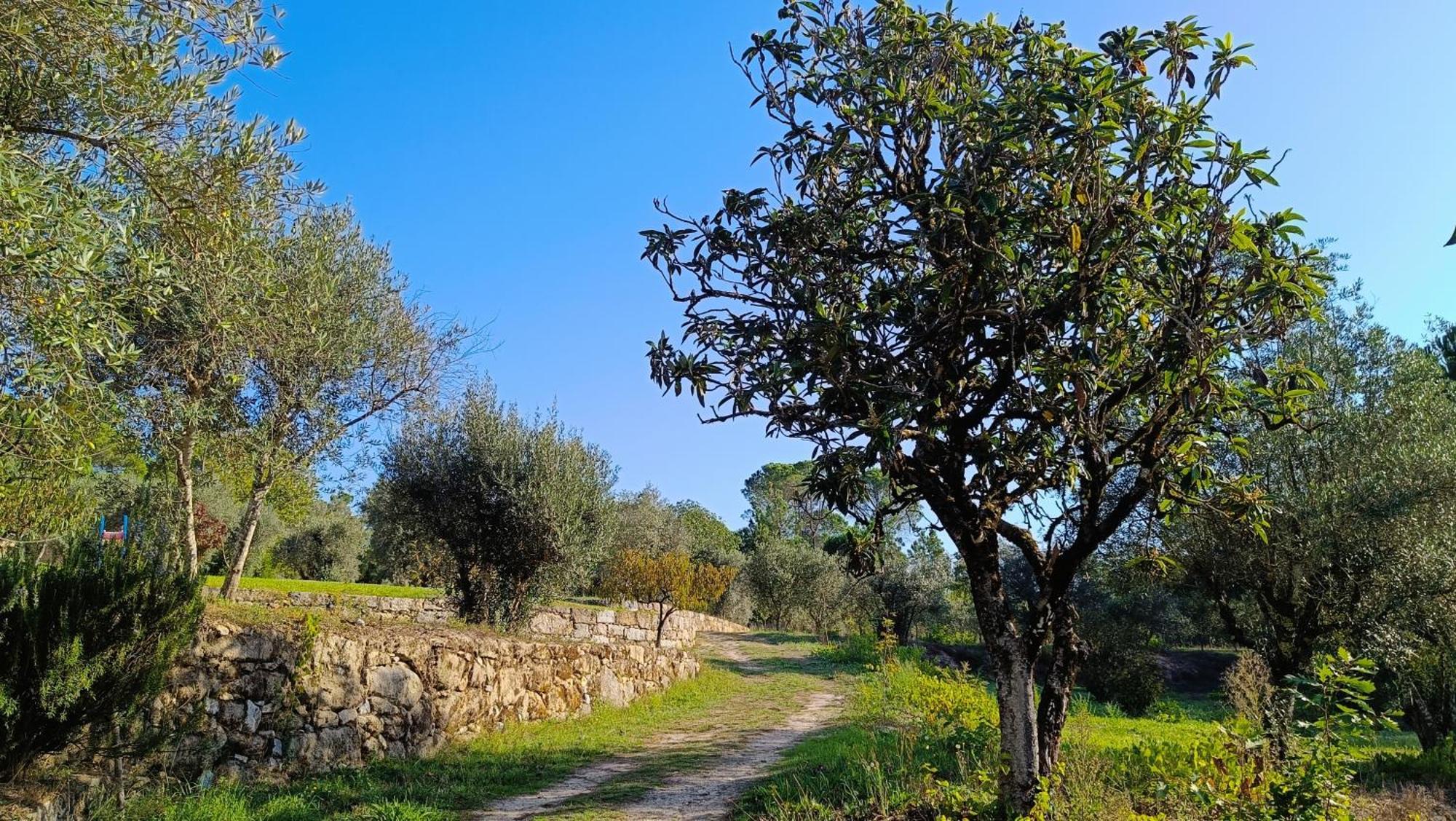 Pensjonat Quinta Da Pedra Mija Santar Zewnętrze zdjęcie